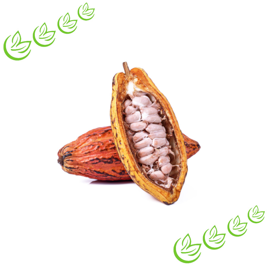 Kakaobutter Pellets desodoriert